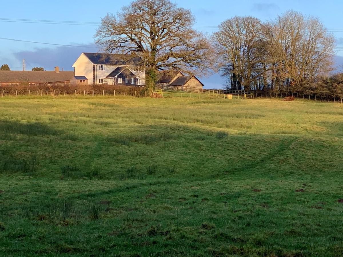 Maen Llwyd Villa Llanyre Buitenkant foto